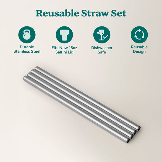 saltini-straw-set-m0 4PK_SaltiniStraws_SS-2.jpg