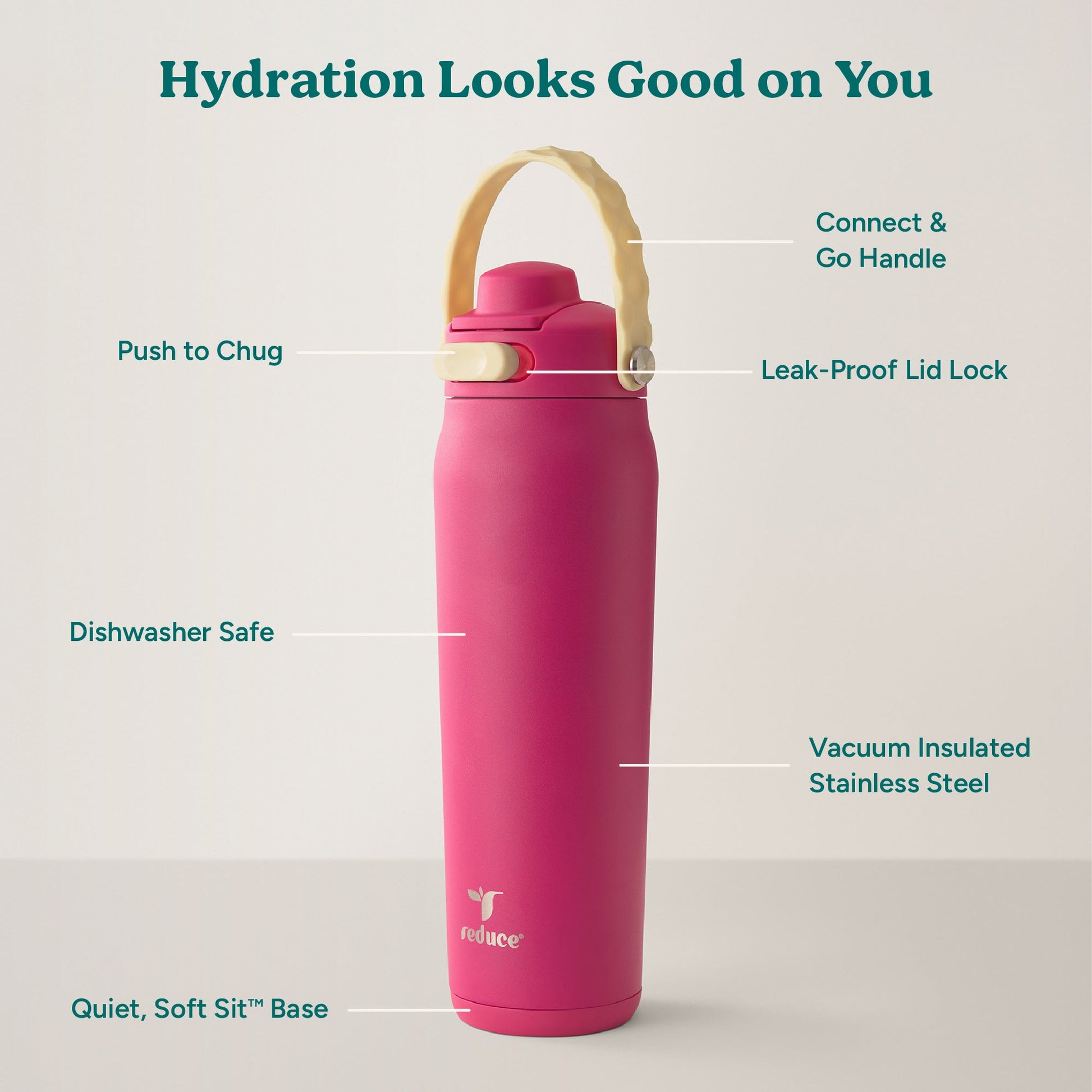 aura-26-oz-e9 Aura_26oz_DragonFruit_PDP_Infographic_2-03.jpg