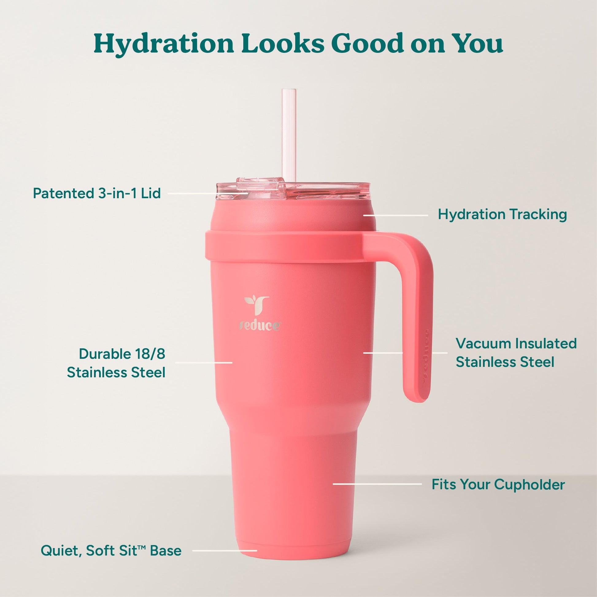 cold1-40-oz-z3 Cold1_40oz_Daiquiri_Infographic_2.jpg