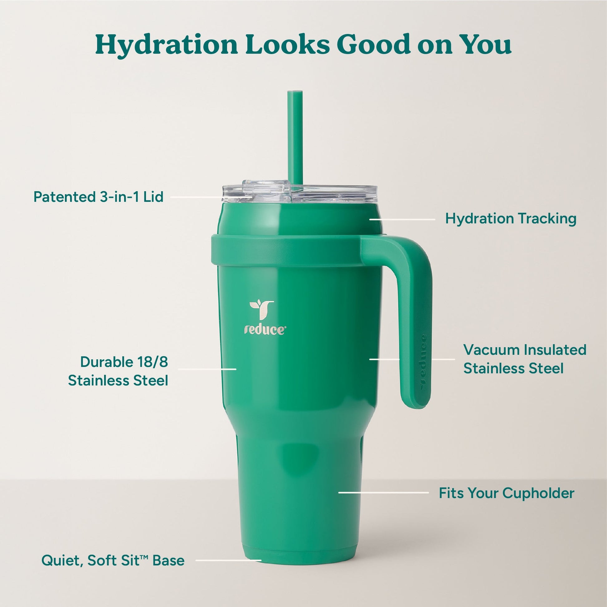 cold1-40-oz-z3 Cold1_40oz_PalmLeaf_Infographic_2.jpg
