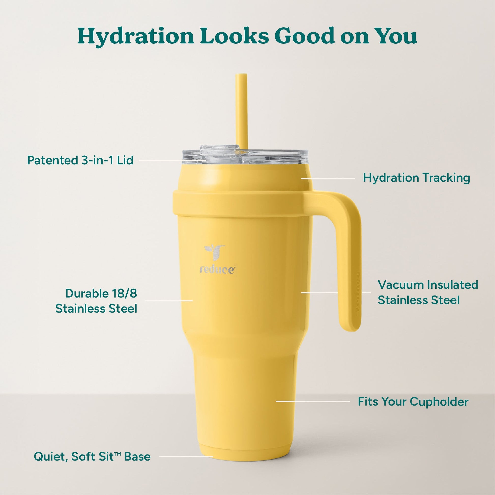 cold1-40-oz-z3 Cold1_40oz_Pineapple_Infographic_2.jpg